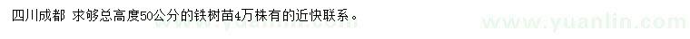 求購總高50公分鐵樹苗