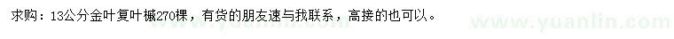 求購13公分金葉復(fù)葉槭