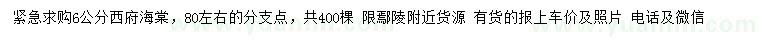 求購6公分西府海棠