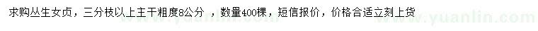 求購叢生女貞