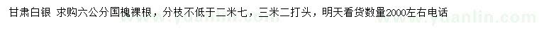 求購6公分國槐