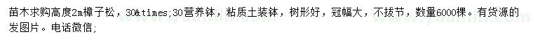 求購高2米樟子松