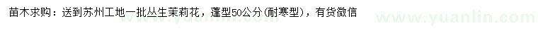 求購蓬型50公分叢生茉莉花