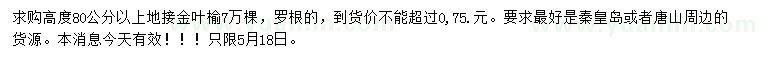 求購(gòu)高80公分以上地接金葉榆