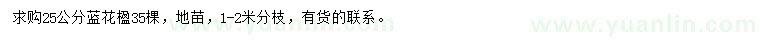 求購(gòu)25公分藍(lán)花楹