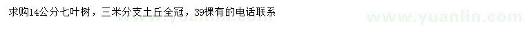 求購14公分七葉樹
