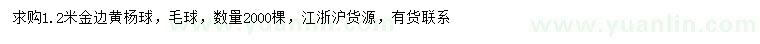 求購1.2米金邊黃楊球