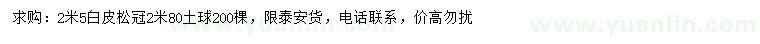 求購2.5米白皮松