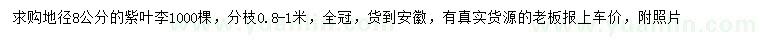 求購地徑8公分紫葉李