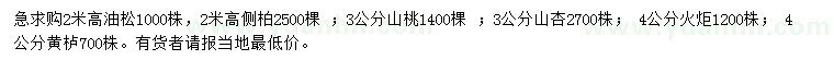 求購油松、側(cè)柏、山桃等