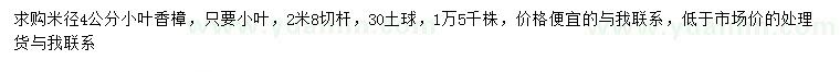 求購米徑4公分小葉香樟