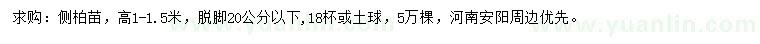 求購高1-1.5米側(cè)柏苗