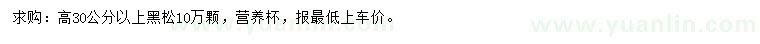 求購高30公分以上黑松