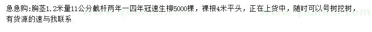 求購(gòu)胸徑1.2米量11公分速生柳