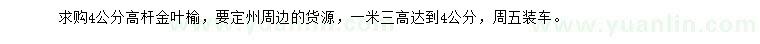 求購(gòu)4公分高桿金葉榆