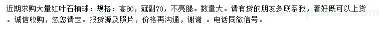 求購高80公分紅葉石楠球