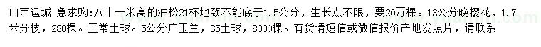 求購油松、云杉、廣玉蘭