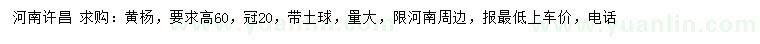 求購(gòu)高60公分黃楊