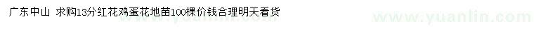 求購13公分紅花雞蛋花地苗