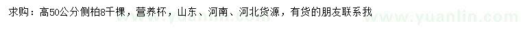 求購高50公分側(cè)柏