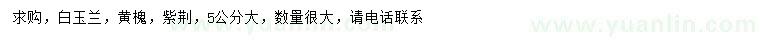 求購白玉蘭、黃槐、紫荊