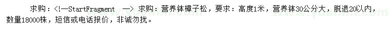 求購高1米樟子松