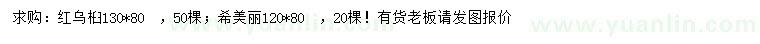 求購130*80紅烏桕、120*80希美麗