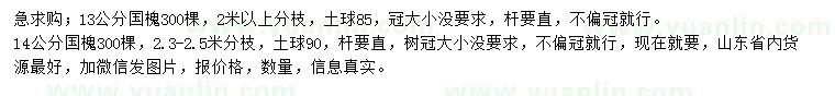 求購13、14公分國槐