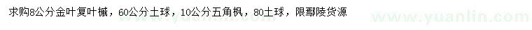 求購8公分金葉復(fù)葉槭、10公分五角楓