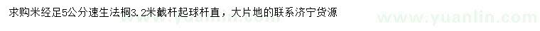 求購米徑足5公分速生法桐