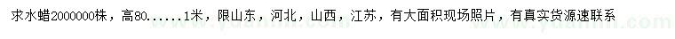 求購高80、100公分水蠟