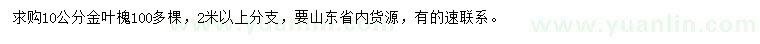 求購10公分金葉槐