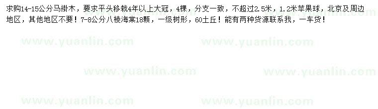 求購馬褂木、蘋果球、八棱海棠