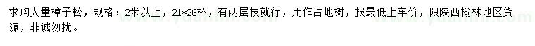 求購2米以上樟子松