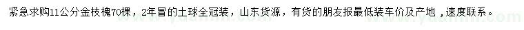 求購(gòu)11公分金枝槐