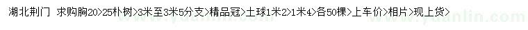 求購胸徑20、25公分樸樹