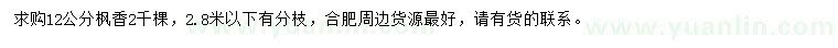 求購12公分楓香