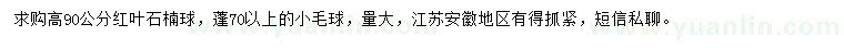 求購(gòu)高90公分紅葉石楠球
