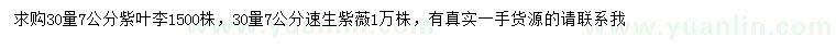 求購30量7公分紫葉李、速生紫薇
