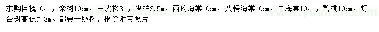 求購國槐、欒樹、白皮松等