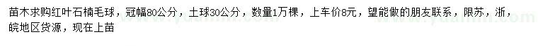 求購冠幅80公分石楠毛球