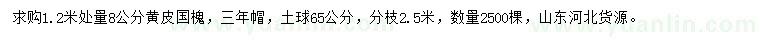 求購1.2米處量8公分黃皮國槐