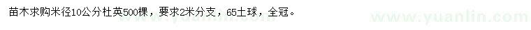 求購米徑10公分杜英