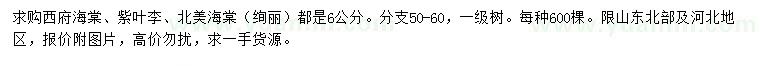 求購西府海棠、紫葉李、北美海棠