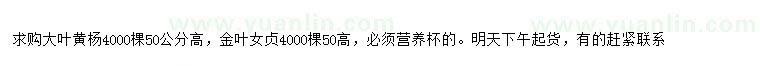 求購(gòu)高40、50公分大葉黃楊
