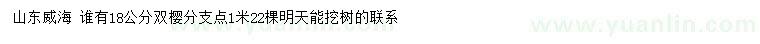 求購18公分雙櫻