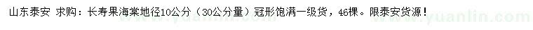 求購30公分量地徑10公分長壽果海棠