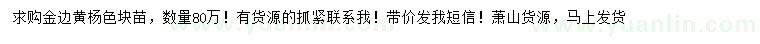 求購(gòu)金邊黃楊色塊苗