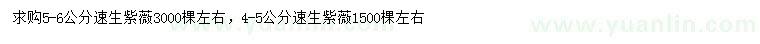 求購4-5、5-6公分速生紫薇
