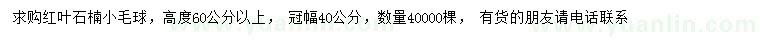 求購高度60公分以上紅葉石楠小毛球